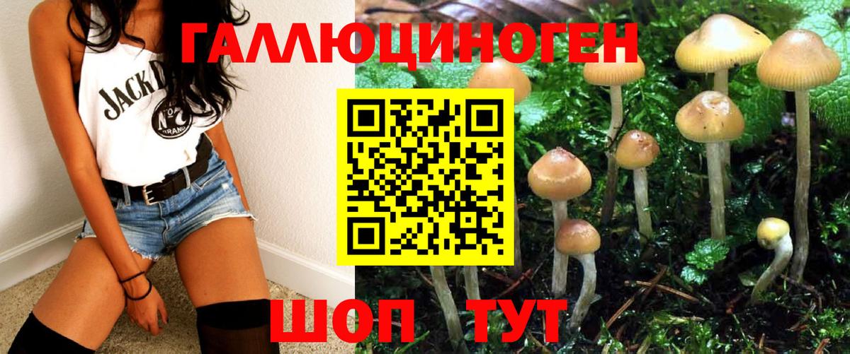 Псилоцибиновые грибы Cubensis  Вход с VPN  Печора  Псилоцибиновые грибы мицелий 
